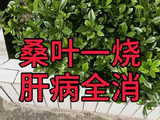 U23国足战平泰国晋级淘汰赛，李昊神勇扑救立大功
