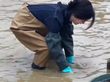 白鹿浅滩摸鱼笑容感染全场