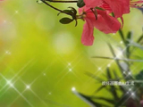 国足亚运队实行一票否决机制