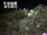 王心凌演唱会买票的和买票的都沉默了！
