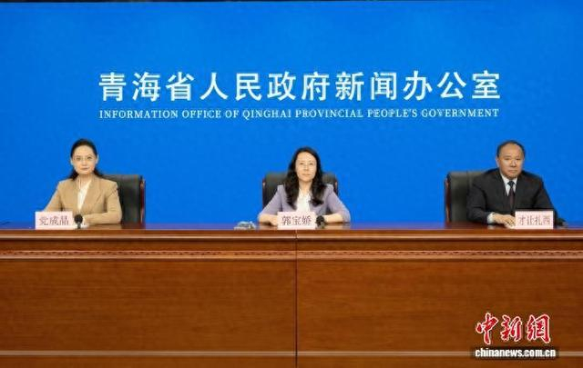 图为发布会现场。孙睿 摄