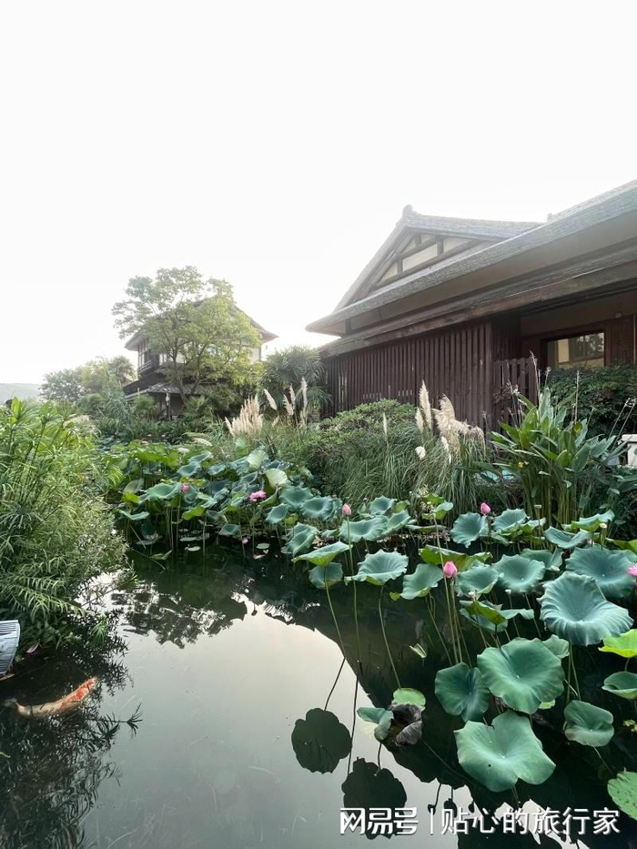  打开网易新闻 查看精彩图片 