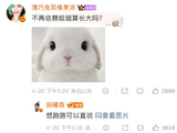 田曦薇 想跑路可以直说 幽默回应粉丝提问