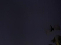 北京夜空，年度最大蛾眉月亮相天宇