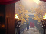 任嘉伦王鹤润《佳偶天成》定档预告曝光，古装奇幻虐恋引期待