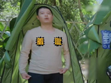马頔为装修拼了，五哈6泥潭游戏毛茸茸收官