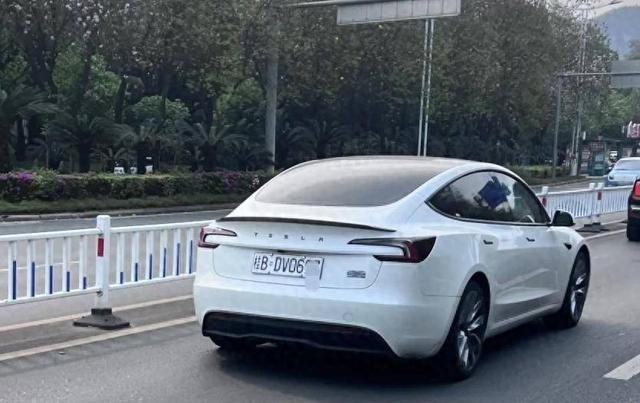 图片来自于“广西交警微发布”