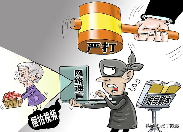 CFP供图
