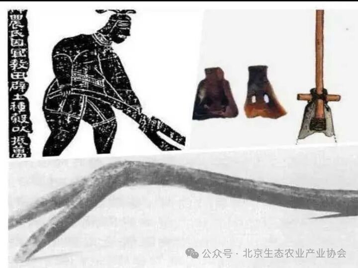 为什么中国传统农耕文化,是生态农业基础?|炎帝|浙江省|耒耜|老祖宗|星星_新浪新闻