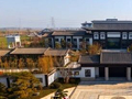 五一假期去哪儿？进贤钟陵：访古 · 硒游 · 品茶，解锁盛唐国风新玩法