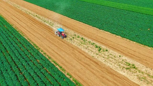 4月17日，河南南阳市卧龙区英庄镇贾营村，村民驾驶农机在田间进行旋耕、施肥作业。王小军摄