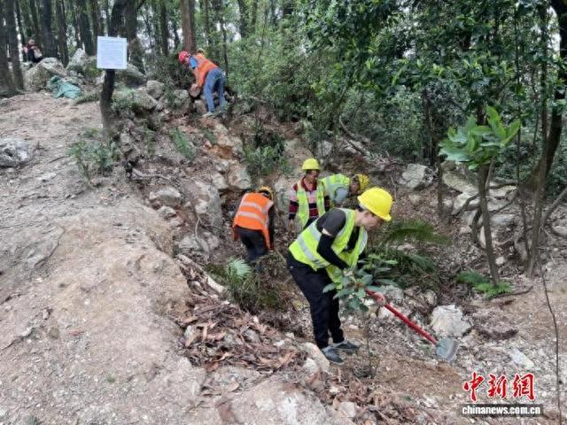 4月22日，沿线采挖形成的坑洞已回填并复绿，目前正在做收尾工作。 广州市黄埔区官方 供图