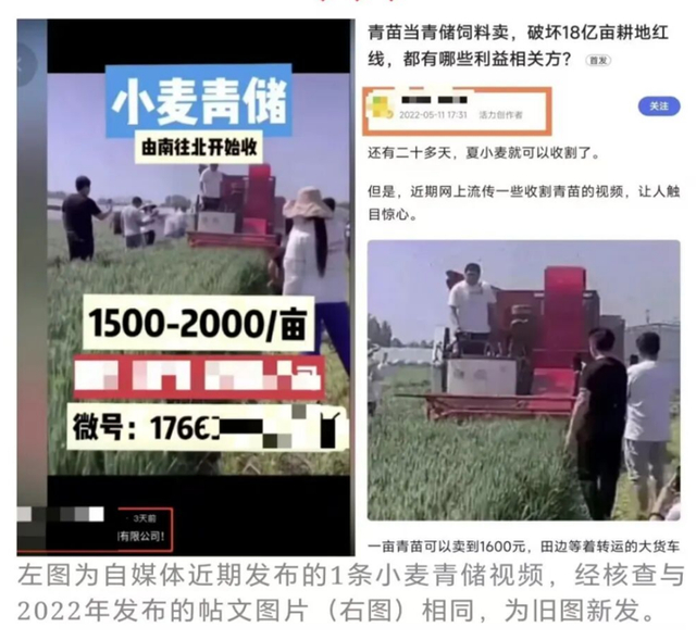 △互联网联合辟谣平台就收割青麦做青贮饲料的内容进行辟谣。