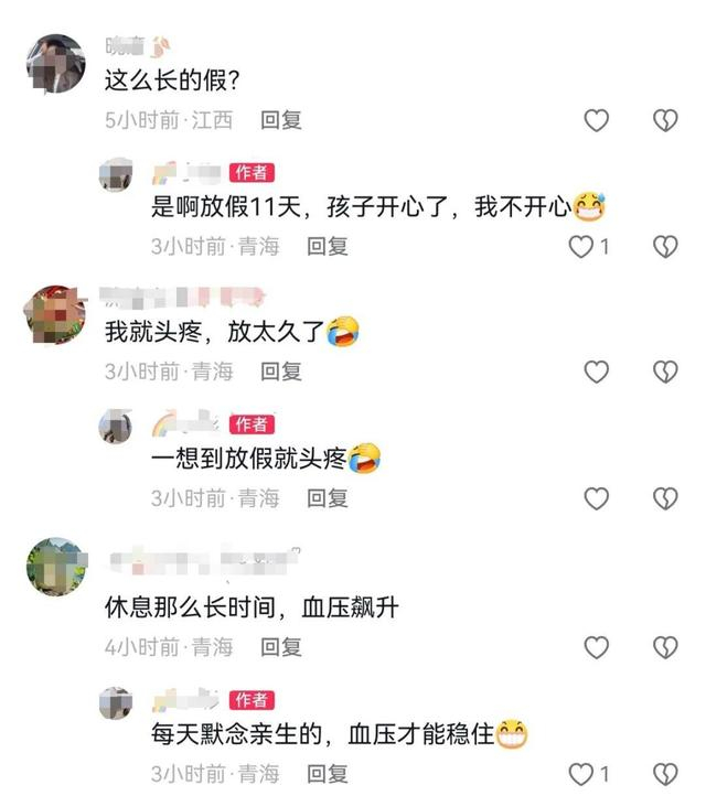 来源：网友评论截图