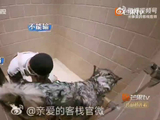 何炅谭松韵加入亲爱的客栈，启动一对一管家服务