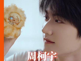 周柯宇的温柔直击灵魂，我彻底沦陷周柯宇好强的情绪共情力