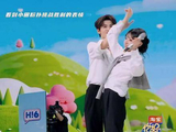 田作之赫领嗑员张哥缺席整月，没了张哥带队嗑cp，我早已成功上岸