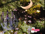 虽然难听但确实好玩哈 全程光注意 lxr 无奈+叹气了