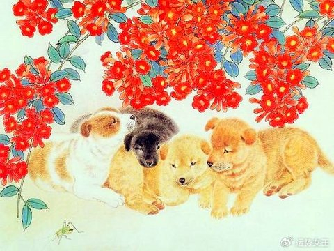 从不盛气凌人，谦虚招来贵人相助，做生意往往能赚大钱的生肖
