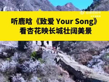 鹿晗歌声与杏花映长城的适配度