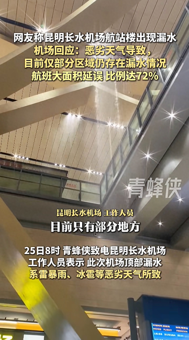视频截图。