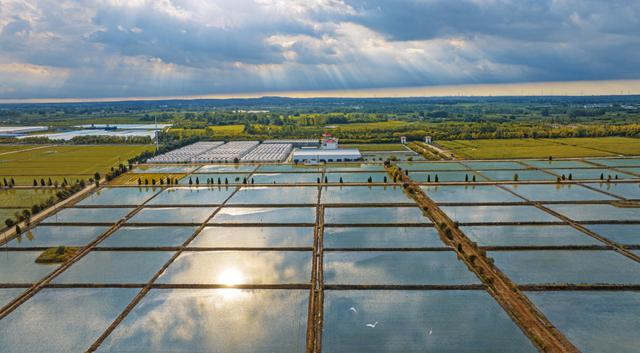 小岗村高标准农田。徐斌 摄