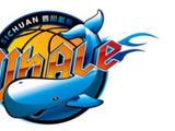 CBA | 历史耻辱柱!四川以0胜42负全败战绩收官,跨赛季47连败