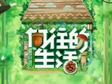 《向往8》二轮录制，4位飞行基本确定，杨超越谭松韵档期对上！