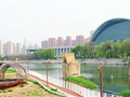 “幸福河湖”背后的“绣花”功夫