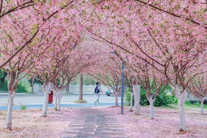 图源：中国矿业大学官微