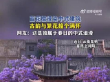 昆明蓝花楹盛放与中式建筑同框，王一博歌声伴春日浪漫