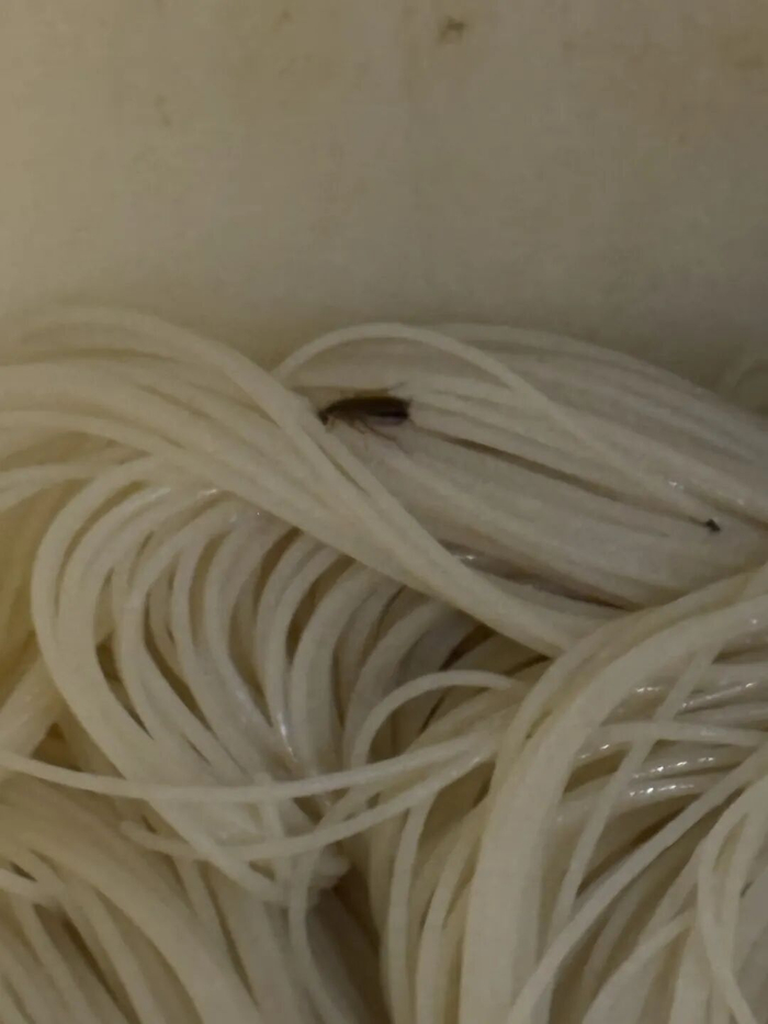 蟑螂在米粉上乱爬。