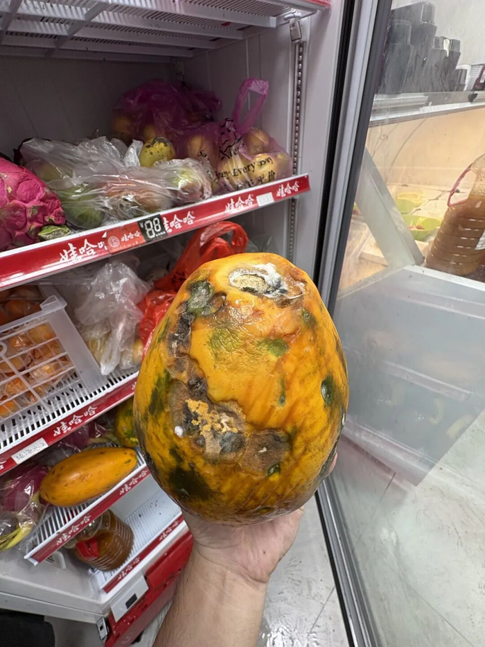 发霉的木瓜与鲜果混放在冰箱里。