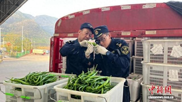 海关关员在清水河口岸查验货物。段瑶 摄