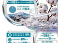 聚焦丨从田间到车间 新疆棉花串起千亿产业链