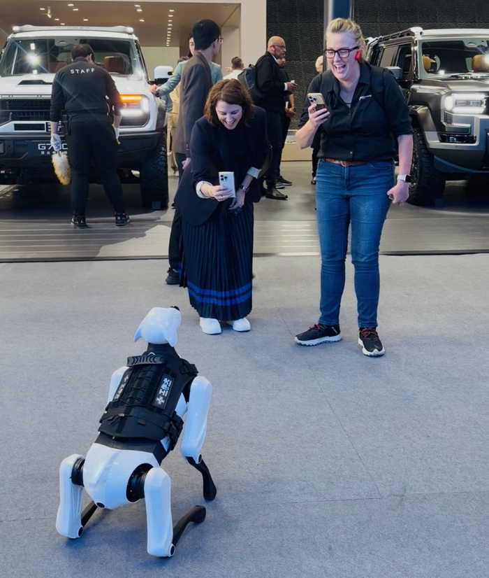 机器狗很受外国人欢迎。新京报贝壳财经记者 林子 摄