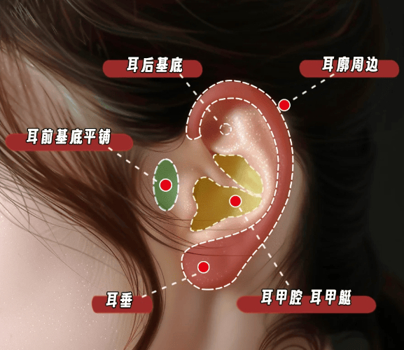 （图片来源于网络）