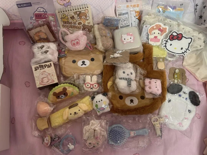 *晴晴子两次下单盲勺获得的小商品（晴晴子供图）