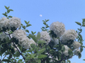 北京蓝天：晴空如洗，云涌如潮