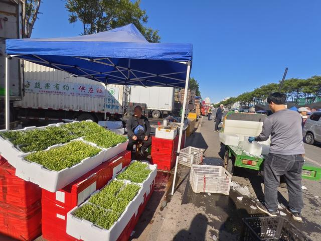 商户用冰块为叶菜保鲜。孙颖 摄 