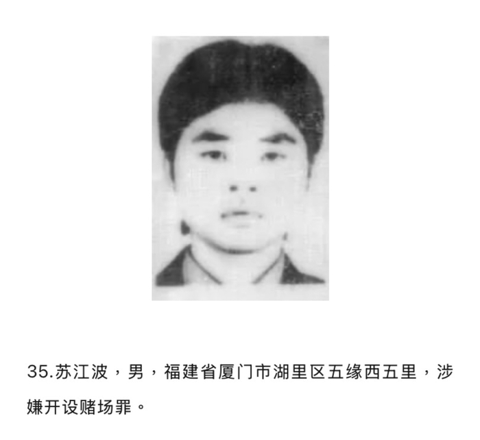 在38个在逃人员名单中，苏江波因涉嫌开设赌场罪被通缉。图片来自网络。