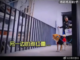 《此时无声胜有声》