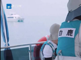 贺峻霖，你最行，单挑对面，你最行 多好的口号哈