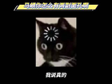 马頔节目吐槽私下撒娇，反差形象引热议