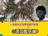 好多王俊凯的兵呀 搞笑 微博VC计划