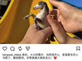 汤唯宣布怀二胎：大大的意外，很开心，家里要多匹小马驹了，都很期待