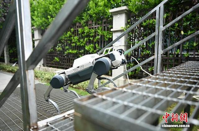 4月29日，杭州云深处科技股份有限公司四足机器人展示攀爬台阶能力。中新社记者 王刚 摄
