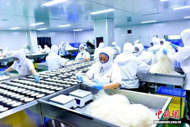 图为开封市通许县酸辣粉生产车间。通许县委宣传部供图