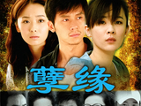 孽缘[2010年钟澍佳执导的电视剧]