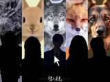 炽热五人组登场！动物塑形结果是否戳中你心？炽热吸引的热是看的我好热